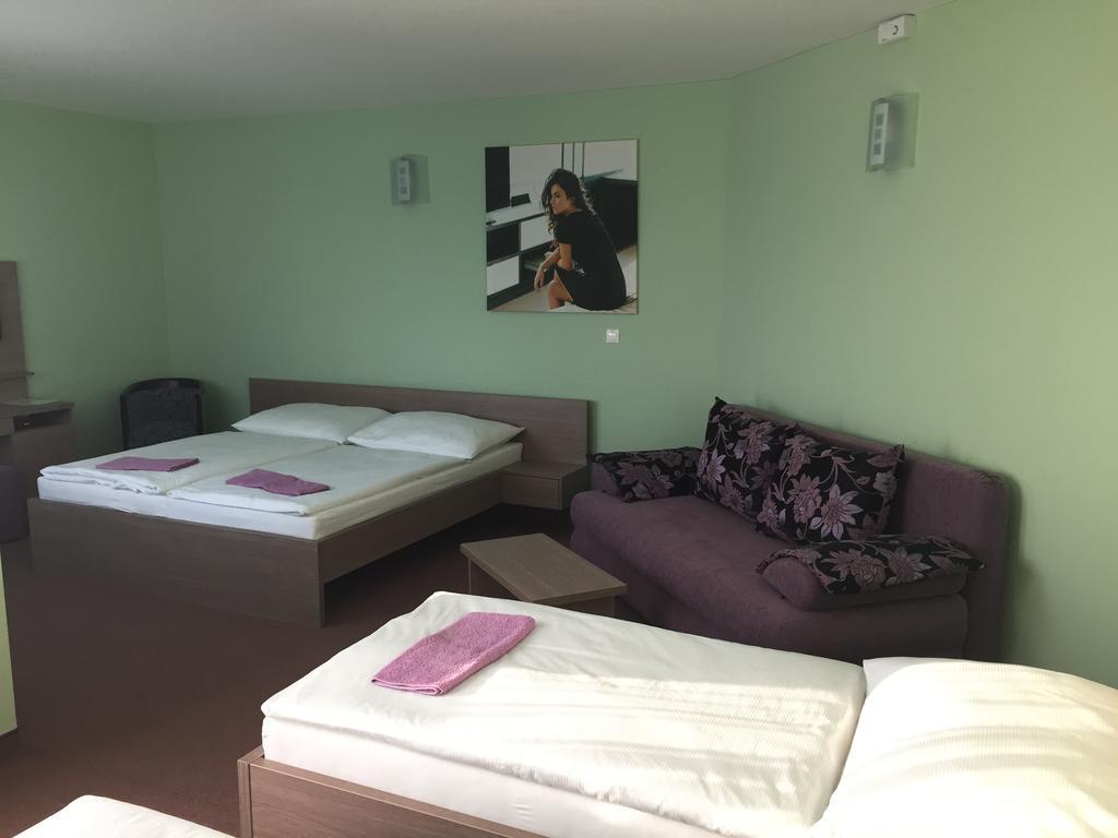 Wellness Pension Inovec Jalsove Rum bild